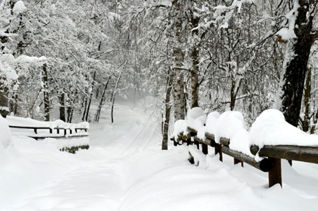 Cestujete do hôr? Ako pripraviť vozidlo a kedy je nutné použiť snehové reťaze?