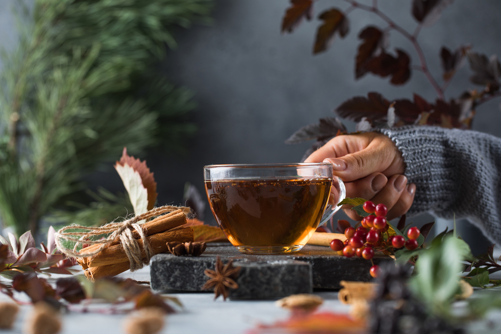 Všetko, čo potrebujete vedieť o čajoch: druhy, príprava a zdravotné benefity