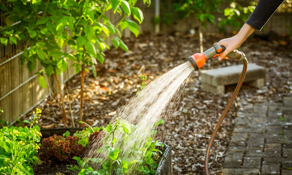 Ako udržať vodu v záhrade a zároveň minimalizovať jej spotrebu?